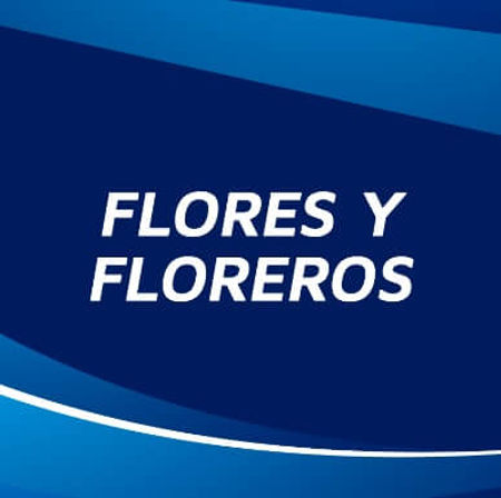 Imagen para la categoría FLORES Y FLOREROS